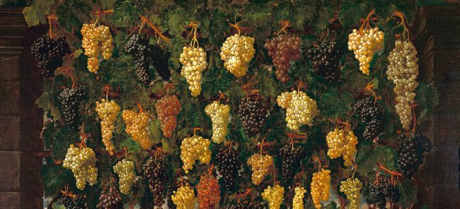 Bartolomeo Bimbi Uva