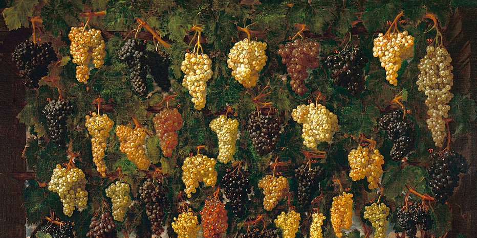 Bartolomeo Bimbi Uva
