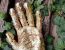 Fatto a mano - Anna Della Torre Jewels