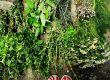 Erbe Aromatiche - Anna Della Torre Jewels