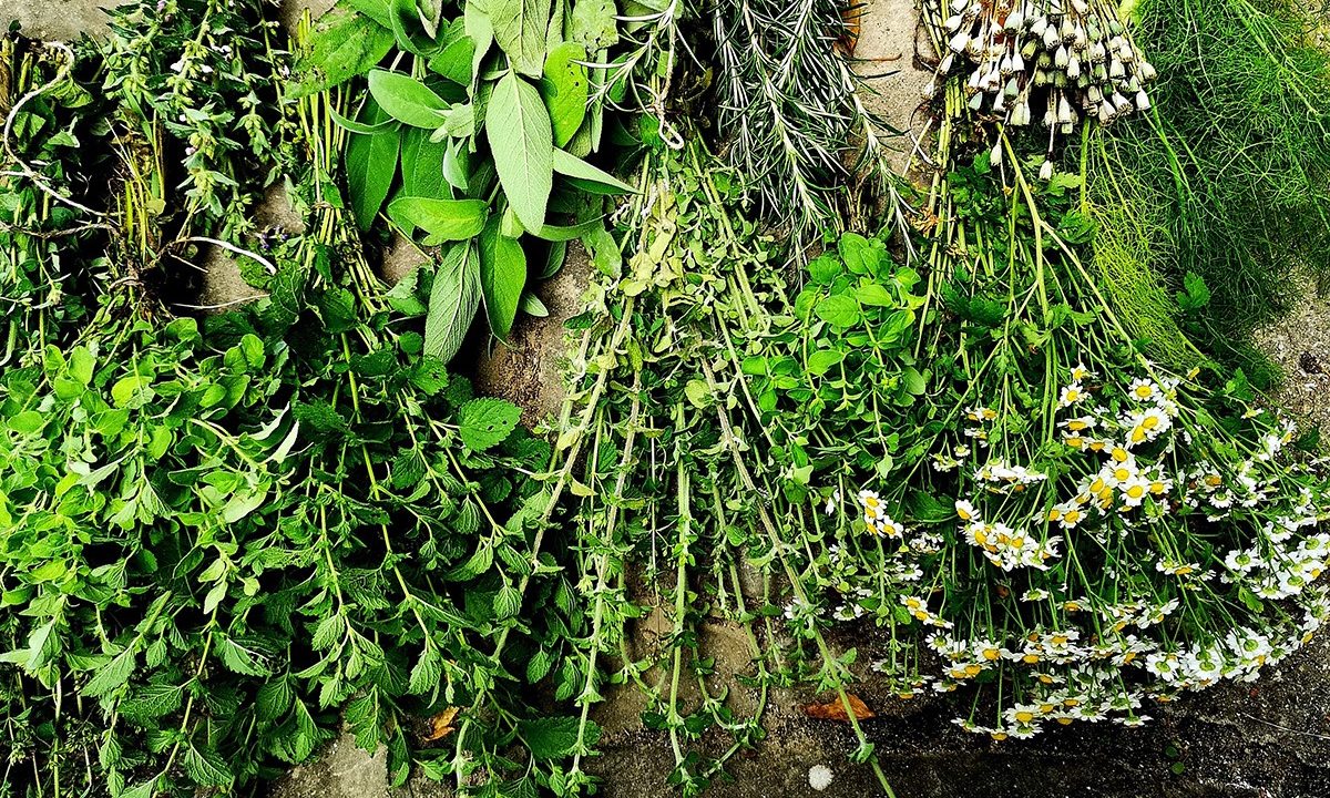 Erbe Aromatiche - Anna Della Torre Jewels