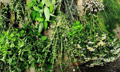 Erbe Aromatiche - Anna Della Torre Jewels