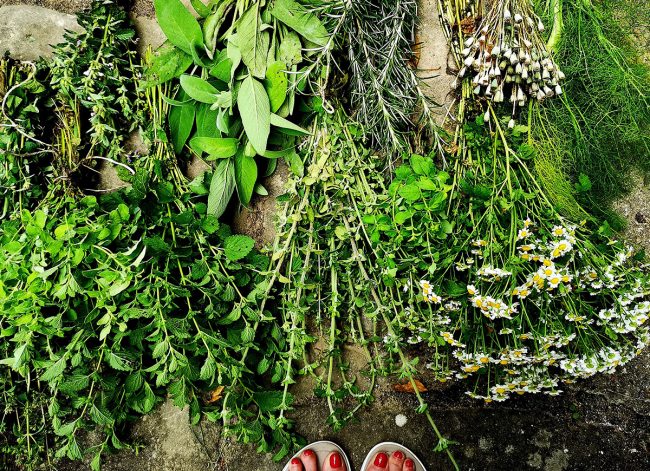 Erbe Aromatiche - Anna Della Torre Jewels