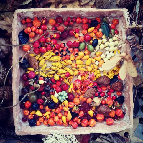 Arcimboldo autunno