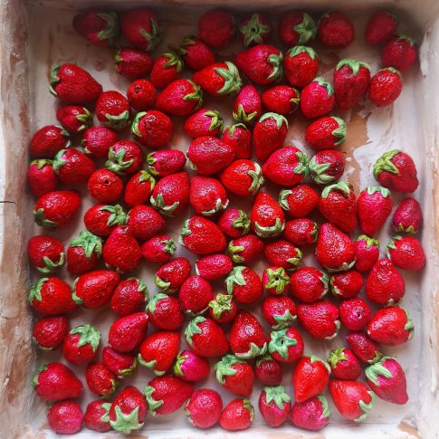 Fragoline di bosco