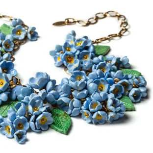 Myosotis