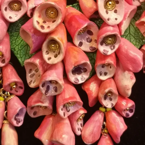Digitalis purpurea